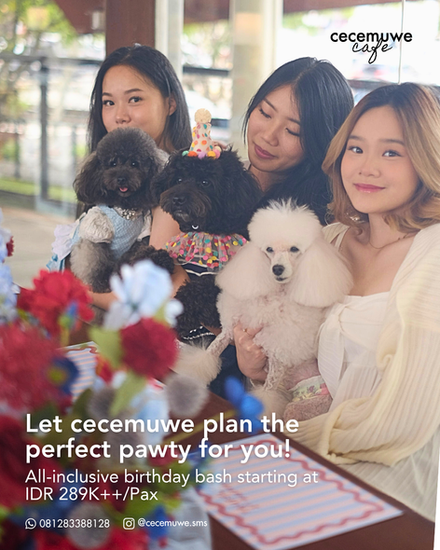 Cecemuwe Pawty Package Gading Serpong