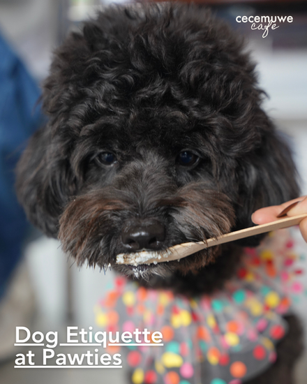 Dog Etiquette - Cecemuwe SMS