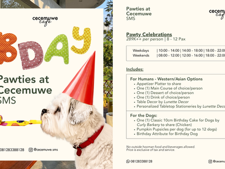 Dog Birthday Party in Gading Serpong? Let Cecemuwe Plan the Pawty.