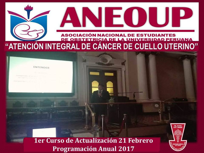 1ER CURSO DE LA PROGRAMACIÓN ACADÉMICA ANUAL