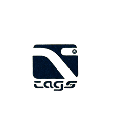 Pegasus Comunicação (2).png