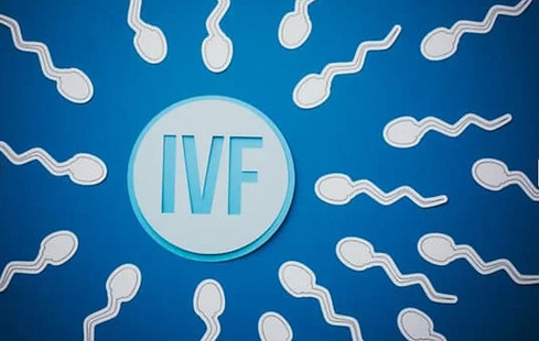 IVF-Egg-Sperm