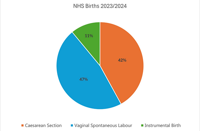 NHS-Birth-Statistics-2023/24-Pie-Chart