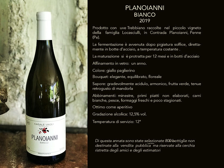 FINESTRA PLANOIANNI BIANCO2019 copia.jpg