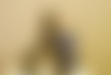 65 ║ Museo del Novecento