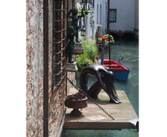 29 ║ Treviso