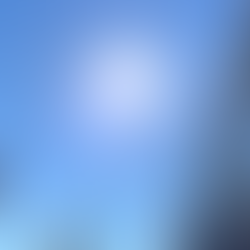 星ごころ 夢の中から