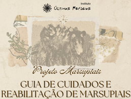Guia orienta cuidados com marsupiais e reforça importância dos resgates no período reprodutivo