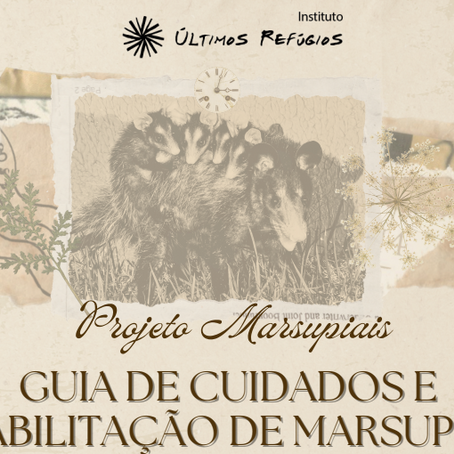Guia orienta cuidados com marsupiais e reforça importância dos resgates no período reprodutivo