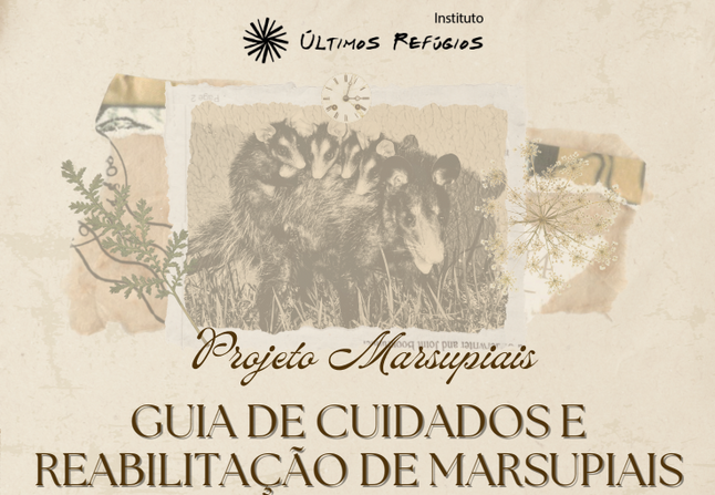 Guia orienta cuidados com marsupiais e reforça importância dos resgates no período reprodutivo