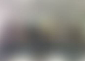 Projeto Marsupiais leva conservação da fauna silvestre para alunos de Medicina Veterinária da FAESA