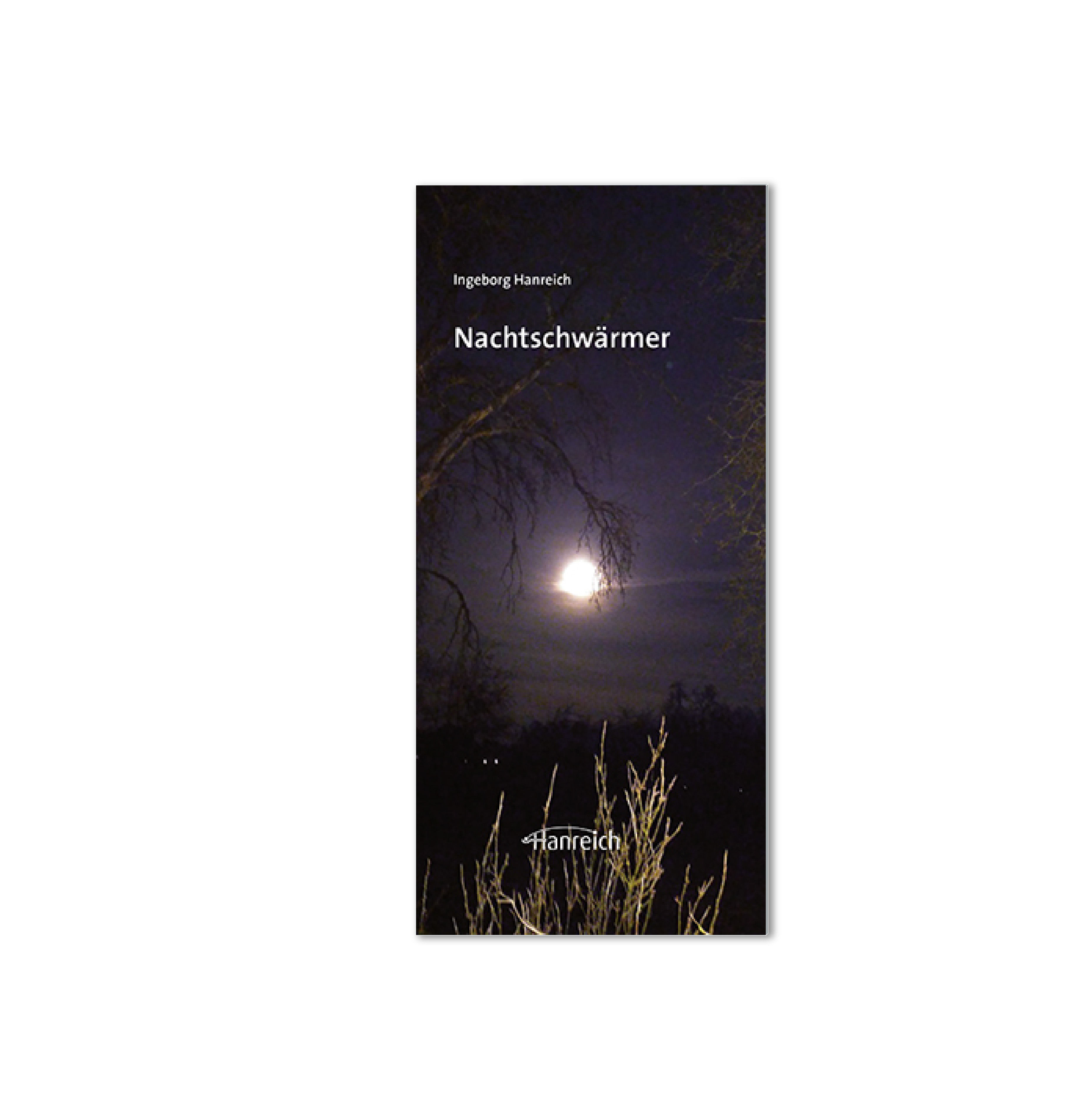 Cover von Nachtschwärmer: dunkles Bild mit Straßenlaterne 