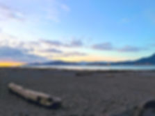 IMG_1566_edited.jpg
