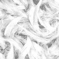 Feathers