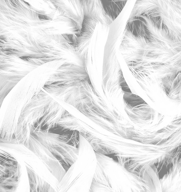 Feathers