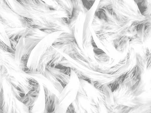 🕊 The Power of Words: A Story That Changes How We Speak