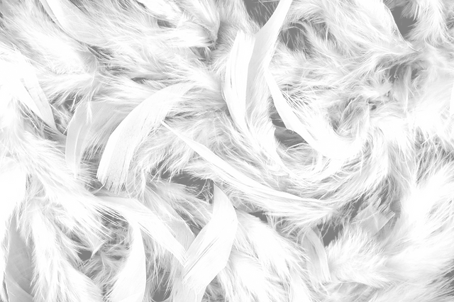 Can you put a feather pillow in the dryer deals