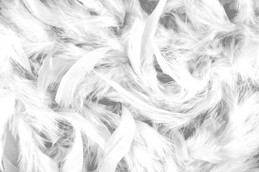 Feathers