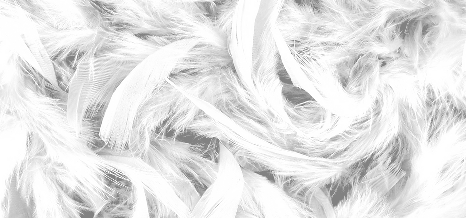 Plumes
