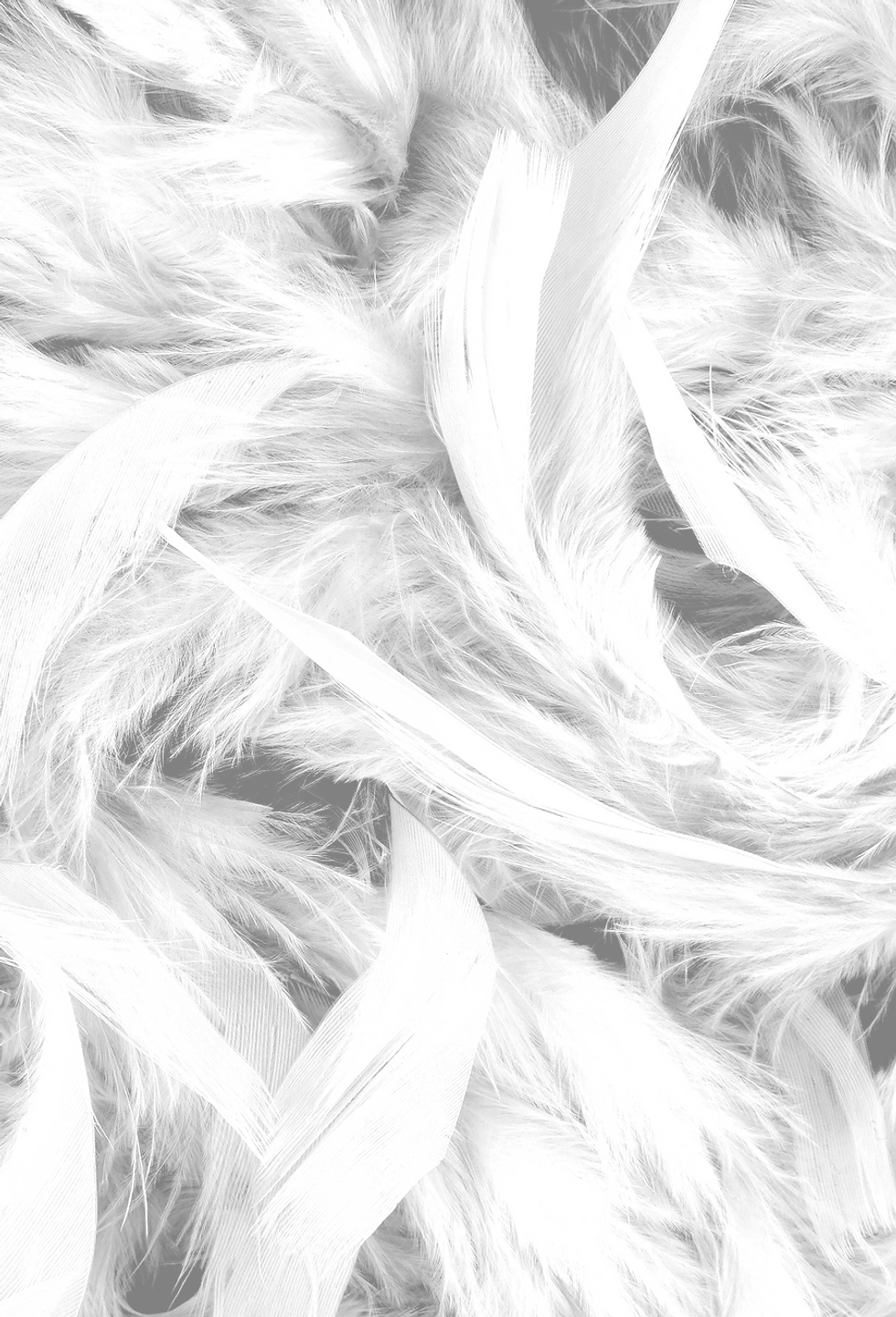 Plumes