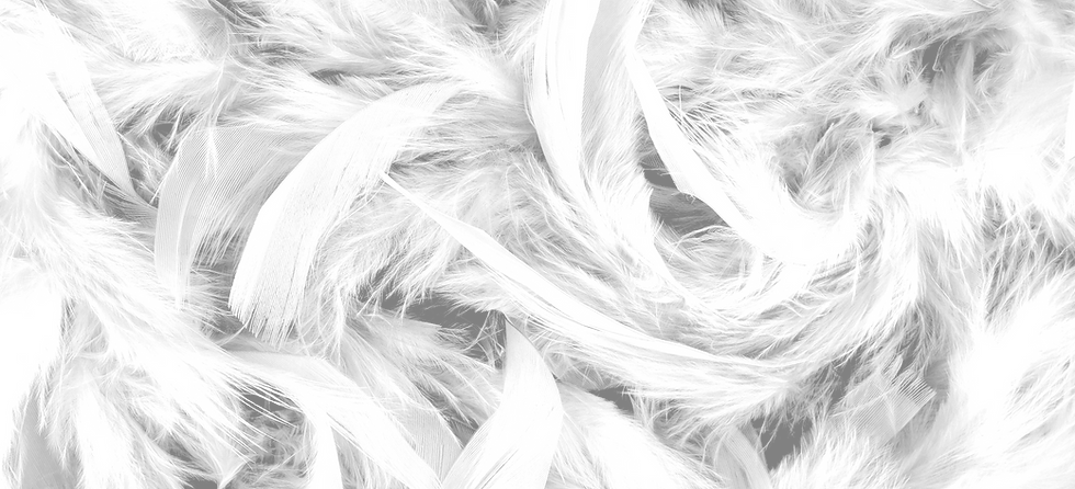 Plumas