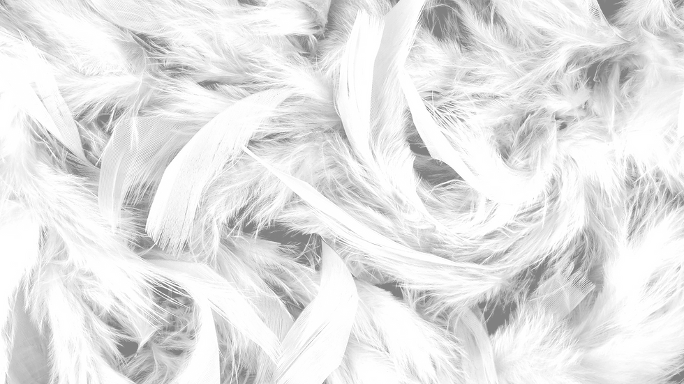 Close-up of white feathers overlapping against a dark background, creating a soft, fluffy texture with a serene, delicate mood.