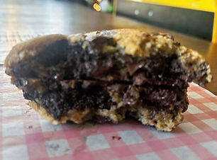 brookie buddy split_edited_edited.jpg