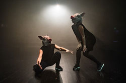 Foto: Roberto Conciatori