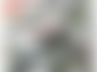 ***Wir sorgen für klare Sicht***