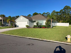 Lawn Maintenance - Before 3