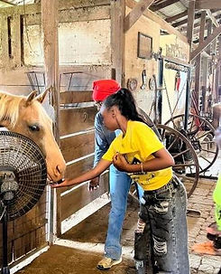 summer camp horses.jpg