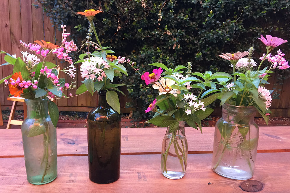Vintage Bottles