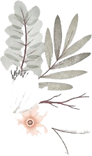 palmas3.png