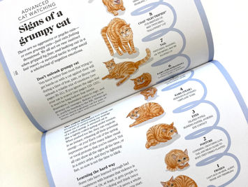 Toronto Illustrator What's My Cat Thinking?