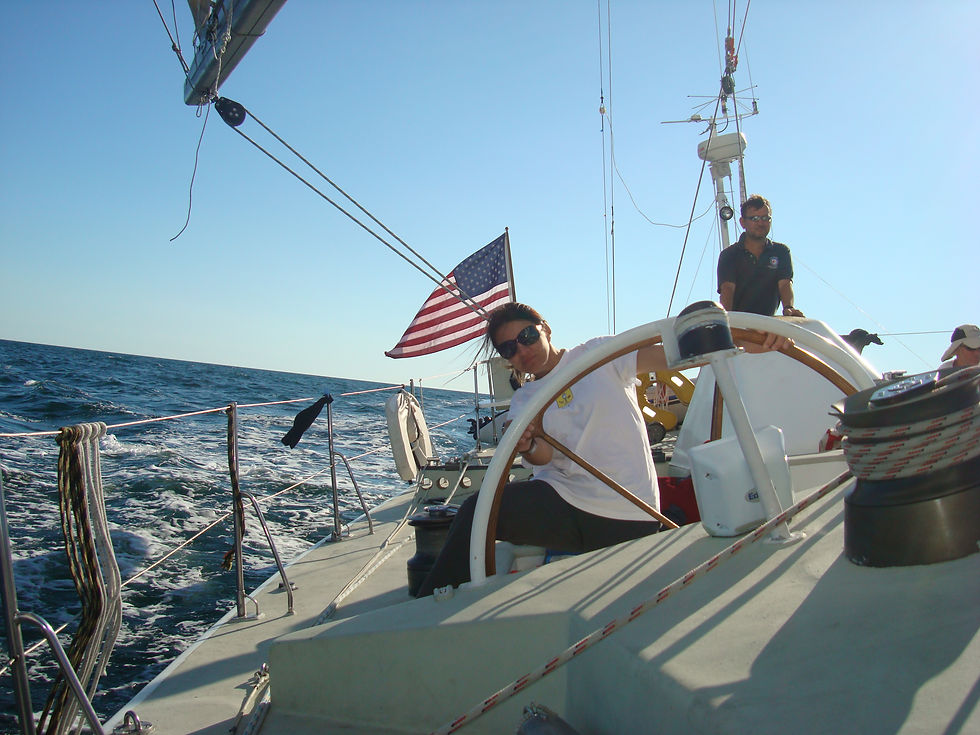 Fazisi do Jamestown 2008