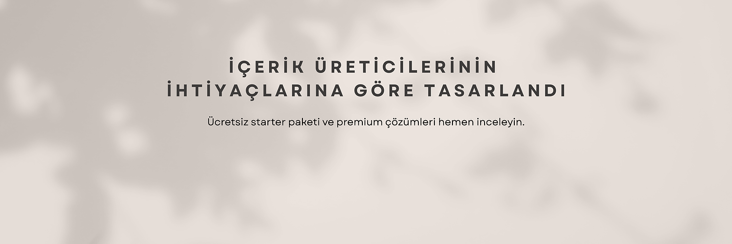 Bereket Web.png