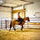 Thumbnail: Freyja Jaz Bar  2023 Dun QH Mare  14.2 hh  Stettler AB