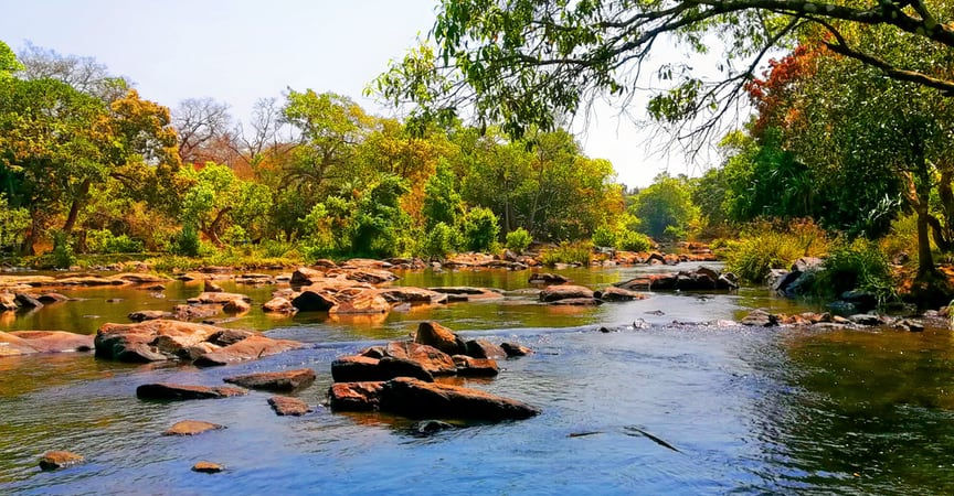 Kuruva Island
