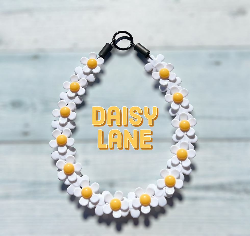 Daisy Lane