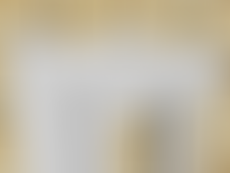 换旧窗流程(适用于 Nail Fin 安装)