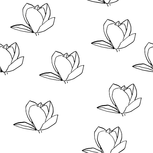 magnolia-732332_1280.png