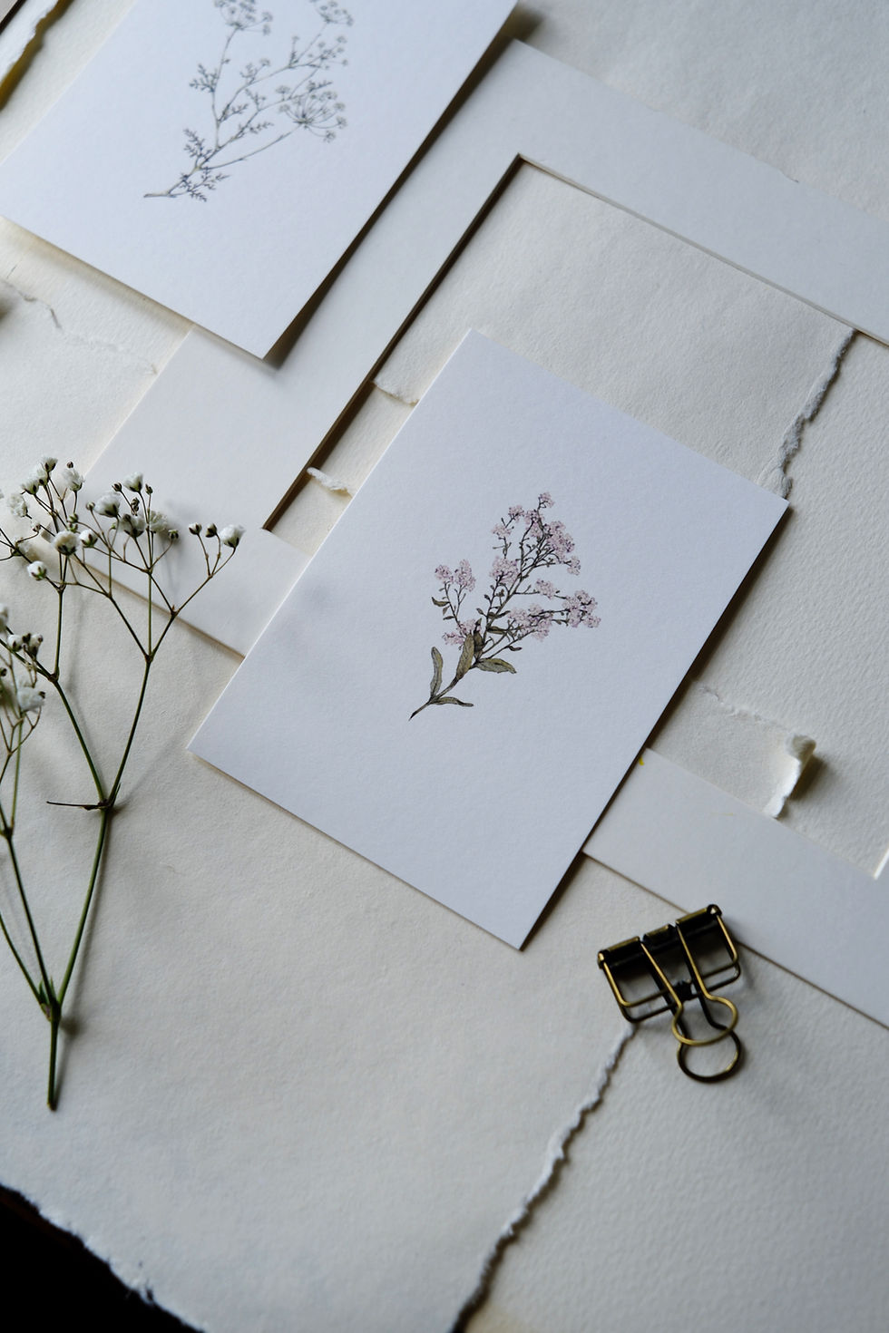 Miniaturbild: Kartenset - "Wildblumenliebe"
