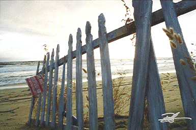 Ocean Fence