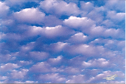 Cotton Ball Clouds