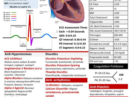 Cardiac Pages Done For Med Surg 1 Clinical Brain Sheet Book!