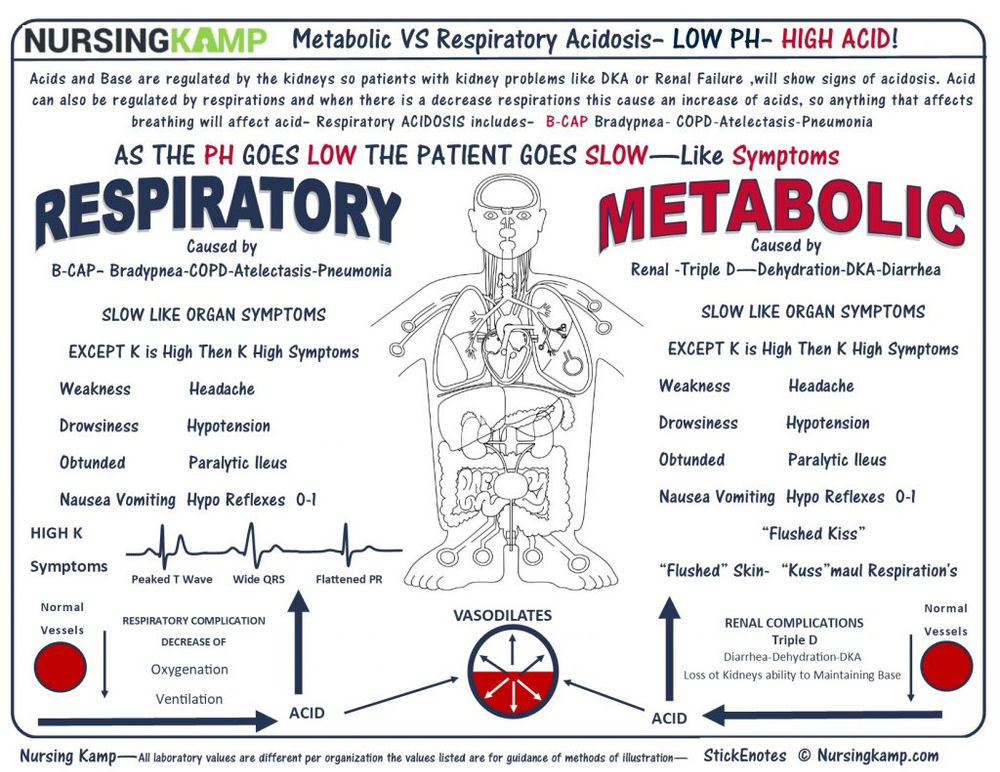 Metabolic VS Respiratory Acidosis