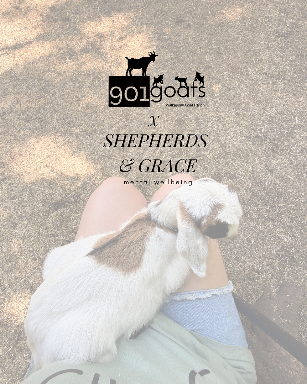 GOAT YOGA & SELF CARE KITS