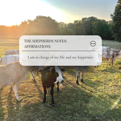 The Shepherds Notes, Affirmations: 9.19.25