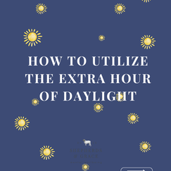 How To Utilize The Extra Hour Of Daylight