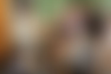 おもちゃコンサルタント養成講座 通学コース 秋から再開!